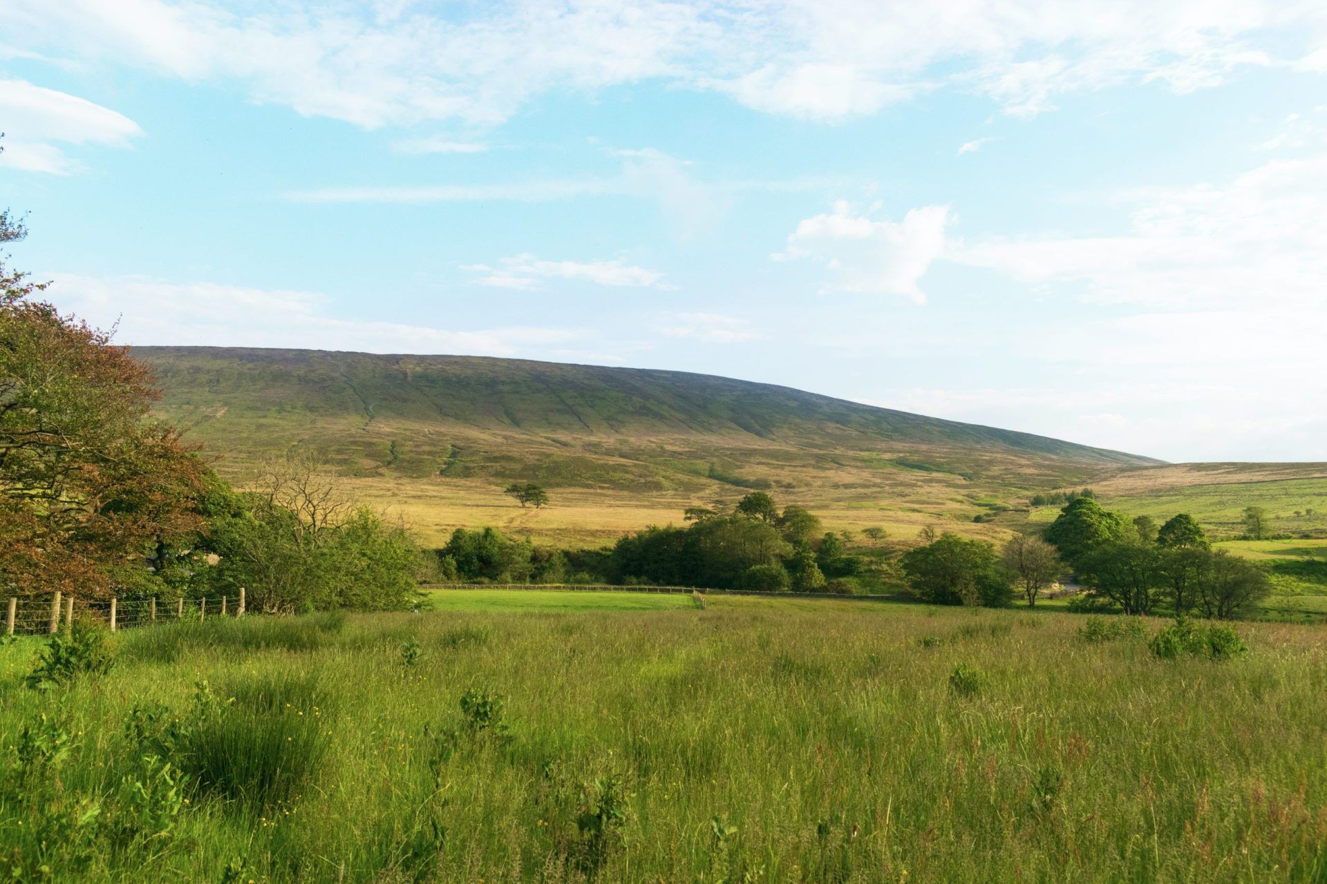 hills of bowland