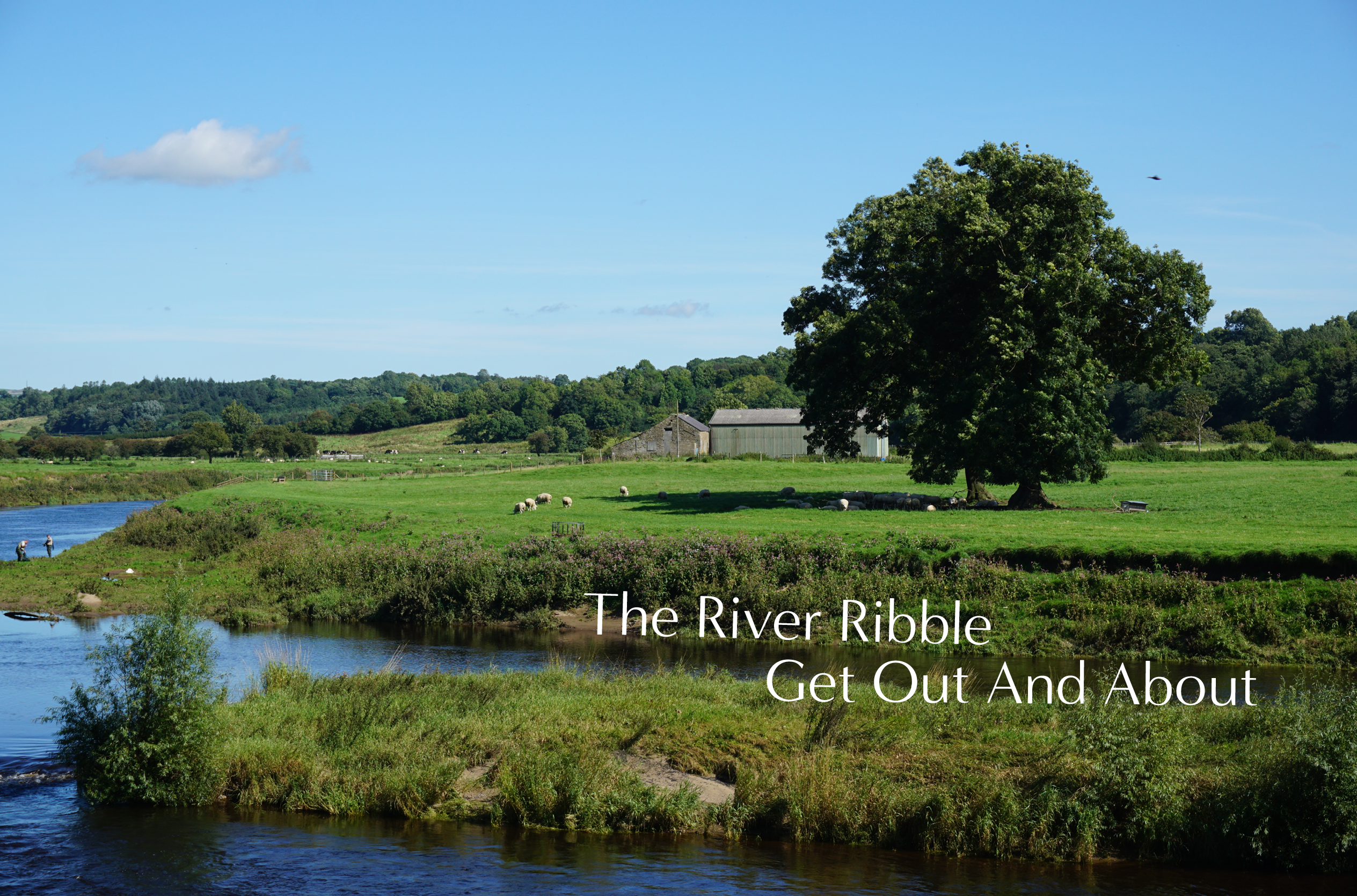 The River Ribble